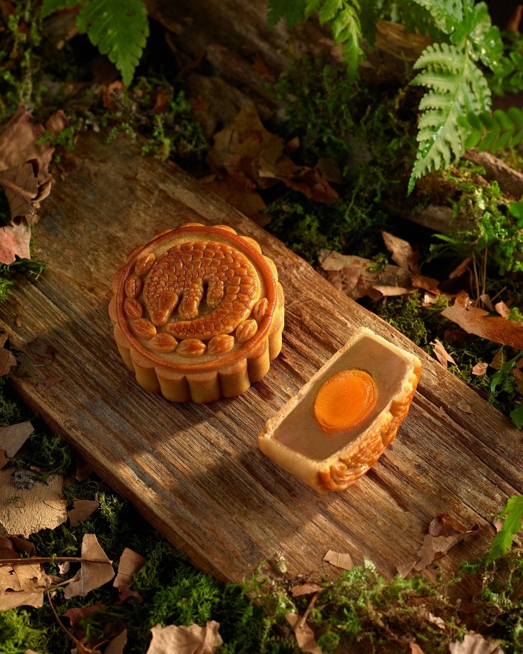 MRR_Mooncake_2026_Pangolin_Mandai Rainforest Resort MRR_Mooncake_2026_Pangolin_Mandai Rainforest Resort